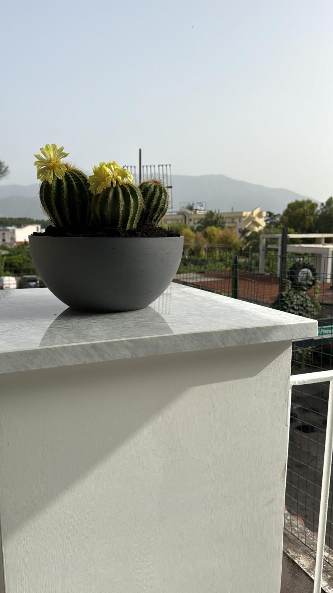 Bed and Breakfast Vesuvius Pompeii Экстерьер фото